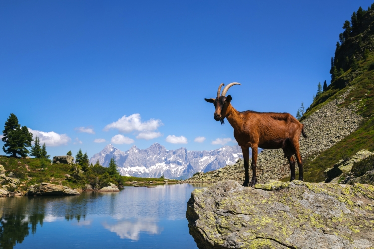 Spiegelsee in Schladming in der Steiermark, Österreich